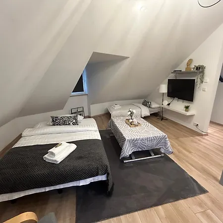 Apartman Im Herzen Von Rüsselsheim